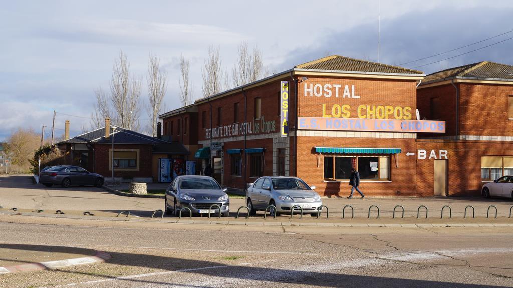 Hostal Los Chopos Osorno Extérieur photo