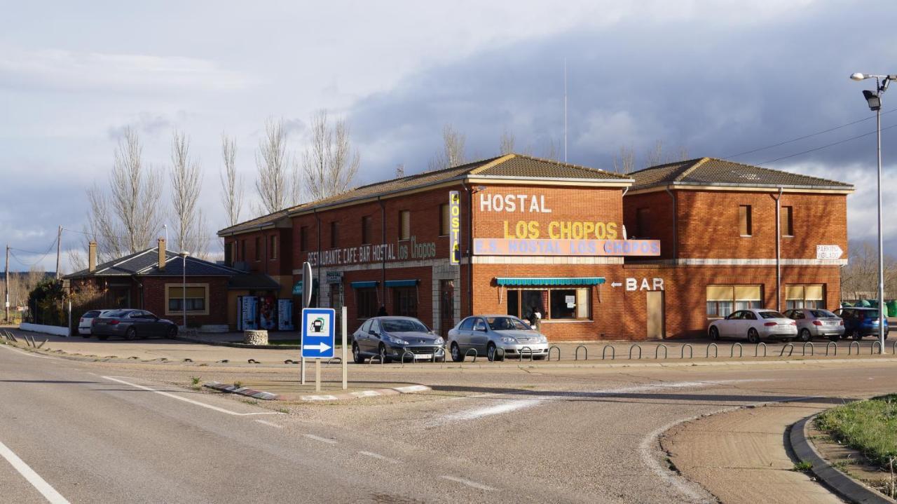 Hostal Los Chopos Osorno Extérieur photo
